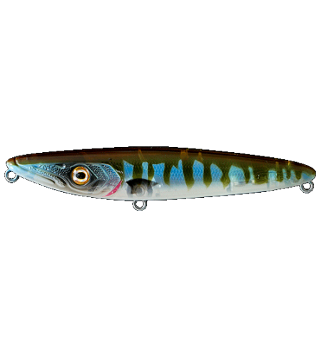 ARTIFICIALE FISHUS ESPETIT CM 11 GR 16 COLORE CANDY CUDA LURENZO