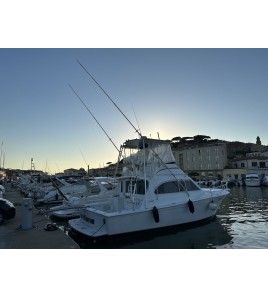 Noleggio Imbarcazione Punta Ala Una Vacanza a Misura, Isola del Giglio, Argentario, Giannutri, Elba, Capraia, Corsica,Sardegna