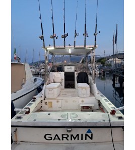 Pescare In Liguria Genova Con Zambo Fishing Adventur