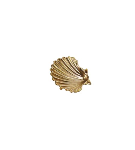 POSACENERE SHELL IN OTTONE LUCIDO